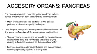 12 - Digestive System The Anatomy and Physiology of the Digestive Tract.pdf