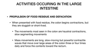 Haustral Activity 12 - Digestive System The Anatomy and Physiology of the Digestive Tract.pdf