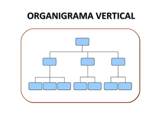 ORGANIGRAMA VERTICAL
 