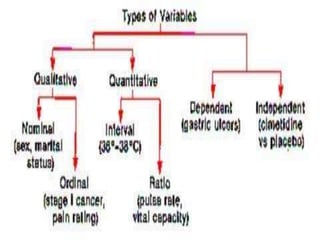 Types of Variables | PPT