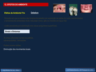 12. EFEITOS DO AMBIENTE


  Efeitos do Ambiente Frio          Geladura

  Situação em que os tecidos são localmente lesados por exposição de partes do corpo (extremidades)
  a temperaturas ambientais muito reduzidas (neve, gelo ou imersão em água fria)

  Lesão provocada por contracção dos vasos sanguíneos superficiais

    Sinais e Sintomas

 As áreas afectadas tornam-se pálidas,
 esbranquiçadas, cianosadas

 Podem ocorrer bolhas
 Diminuição dos movimentos locais




Jorge Almeida, Prof. Adj. - ESALD                                              UC Primeiros Socorros – CET Protecção Civil - 2012
 