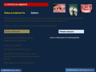 12. EFEITOS DO AMBIENTE


  Efeitos do Ambiente Frio           Geladura

  Situação em que os tecidos são localmente lesados por exposição de partes do corpo (extremidades)
  a temperaturas ambientais muito reduzidas (neve, gelo ou imersão em água fria)

  Lesão provocada por contracção dos vasos sanguíneos superficiais

    Sinais e Sintomas                                                 Primeiro Socorro

 As áreas afectadas tornam-se pálidas,                    Levar a vítima para um local aquecido
 esbranquiçadas, cianosadas

 Podem ocorrer bolhas
 Diminuição dos movimentos locais

 Referência a sensação de picadas e dores
 intensas, tornando-se gradualmente dormente e
 sem dor
 Existe rigidez e insensibilidade térmica


Jorge Almeida, Prof. Adj. - ESALD                                               UC Primeiros Socorros – CET Protecção Civil - 2012
 