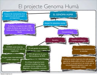 El projecte Genoma Humà
       Conjunt de cromosomes d’un                                           EL GENOMA HUMÀ
       organisme, amb els seus gens
              corresponents


                                                                    PROJECTE GENOMA HUMÀ
             Va facilitar la seqüència dels 3.000
           milions de lletres que formen el DNA
           humà, però faltava aprendre a llegir les
                              lletres                                                 Característiques



                                                                           Beneﬁcis                 Possibles problemes


          El DNA conté totes les
       instruccions per a fer tots els      El codi genètic és universal                                 Problemes ètics: protecció de
                organismes                                                                                       la intimitat
                                          El 95% del genoma és actiu, i
                                             fabricacadenes de RNA
  Els gens estan interrelacionats
        i poden solapar-se                                                             Problemes socials: el genoma de cada persona
                                                                                        guarda les dades sobre el futur, i és possible
                                        En el futur, el genoma humà
                                                                                       discriminar a una persona si es coneix que té
                                       permetrà conèixer les bases
                                                                                           una predisposició genètica a patir una
                                    genètiques de les malalties, el seu
                                                                                                    determinada malaltia
                                    diagnòstic i les possibles curacions


dimarts 2 d’abril de 13
 