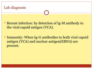 microbiology of Epstein Barr virus (EBV).ppt