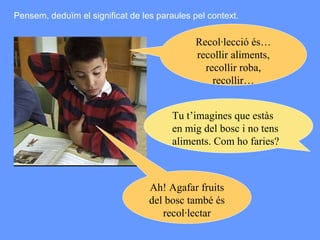 Recol·lecció és… recollir aliments, recollir roba, recollir… Tu t’imagines que estàs en mig del bosc i no tens aliments. Com ho faries? Ah! Agafar fruits del bosc també és recol·lectar Pensem, deduïm el significat de les paraules pel context. 