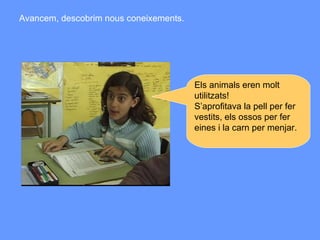 Els animals eren molt utilitzats!  S’aprofitava la pell per fer vestits, els ossos per fer eines i la carn per menjar. Avancem, descobrim nous coneixements. 