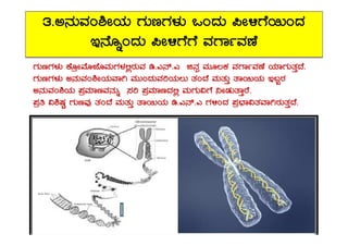 3.C£ÀÄªÀA²ÃAiÀÄ UÀÄtUÀ¼ÀÄ MAzÀÄ ¦Ã½UÉ¬ÄAzÀ
E£ÉÆßAzÀÄ ¦Ã½UÉUÉ ªÀUÁðªÀuÉ
UÀÄtUÀ¼ÀÄ PÉÆæÃªÉÆeÉÆªÀÄUÀ¼À°ègÀÄªÀ r.J£ï.J f£Àì ªÀÄÆ®PÀ ªÀUÁðªÀuÉ AiÀiÁUÀÄvÀÛzÉ.
UÀÄtUÀ¼ÀÄ C£ÀÄªÀA²ÃAiÀÄªÁV ªÀÄÄAzÀÄªÀjAiÀÄ®Ä vÀAzÉ ªÀÄvÀÄÛ vÁ¬ÄAiÀÄ E§âgÀ
C£ÀÄªÀA²AiÀÄ ¥ÀæªÀiÁtªÀ£ÀÄß ¸Àj ¥ÀæªÀiÁtzÀ°è ªÀÄUÀÄ«UÉ ¤ÃqÀÄvÁÛgÉ.
¥Àæw «² ÀÖ UÀÄtªÀÅ vÀAzÉ ªÀÄvÀÄÛ vÁ¬ÄAiÀÄ r.J£ï.J UÀ½AzÀ ¥Àæ¨sÁ«vÀªÁVgÀÄvÀÛzÉ.
 