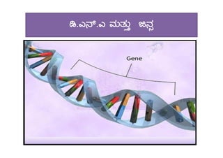 r.J£ï.J ªÀÄvÀÄÛ f£Àì
 