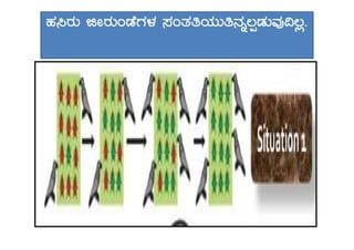 ºÀ¹gÀÄ fÃgÀÄAqÉUÀ¼À ¸ÀAvÀwAiÀÄÄw£Àß®àqÀÄªÀÅ¢®è.
 