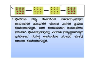 •• ¥ÉÇzÉUÀ¼ÀÄ ¸À¸Àå gÉÆÃUÀ¢AzÀ §¼ÀĒÁgÀA©ü¸ÀÄvÀÛªÉ.
fÃgÀÄAqÉUÀ¼À ¥ÉÇÃμÀuÉUÉ ¨ÉÃPÁzÀ JĒÉUÀ¼À ¥ÀæªÀiÁt
PÀrªÉÄAiÀiÁUÀÄvÀÛzÉ. EzÀgÀ ¥ÀjuÁªÀÄªÁV fÃgÀÄAqÉUÀ¼ÀÄ
¸ÀjAiÀiÁV ¥ÉÇÃ¶¸À®àqÀÄªÀÅ¢®è. JĒÉUÀ¼ÀÄ ¸ÀªÀÄÈzÀÞªÁVzÁÝUÀ¸ÀjAiÀiÁV ¥ÉÇÃ¶¸À®àqÀÄªÀÅ¢®è. JĒÉUÀ¼ÀÄ ¸ÀªÀÄÈzÀÞªÁVzÁÝUÀ
EgÀ¨ÉÃPÁzÀ ªÀAiÀÄ¸ÀÌ fÃgÀÄAqÉUÀ¼À ¸ÀgÁ¸Àj vÀÆPÀªÀÅ
DzÀjAzÀ PÀrªÉÄAiÀiÁUÀÄvÀÛzÉ.
 