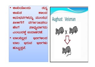 •• fÃ«AiÉÆAzÀÄ vÀ£Àß
fÃ«vÀ PÁ®zÀ
C£ÀÄ¨sÀªÀUÀ¼À£ÀÄß ªÀÄÄA¢£À
¦Ã½UÉUÉ ªÀUÁð¬Ä¸À®Ä
ºÉÃUÉ ¸ÁzsÀåªÁUÀzÀÄ
JA§ÄzÀPÉÌ GzÁºÀgÀuÉ.JA§ÄzÀPÉÌ GzÁºÀgÀuÉ.
• ¨Á®«®èzÀ E°UÀ½AzÀ
¨Á® EgÀÄªÀ E°UÀ¼ÀÄ
ºÀÄlÄÖvÀÛªÉ.
 