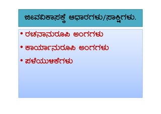 fÃªÀ«PÁ¸ÀPÉÌ DzsÁgÀUÀ¼ÀÄ/¸ÁQëUÀ¼ÀÄ.
•• gÀZÀ£Á£ÀÄgÀÆ¦ CAUÀUÀ¼ÀÄ
• PÁAiÀiÁð£ÀÄgÀÆ¦ CAUÀUÀ¼ÀÄ
•• ¥À¼ÉAiÀÄÄ½PÉUÀ¼ÀÄ
 