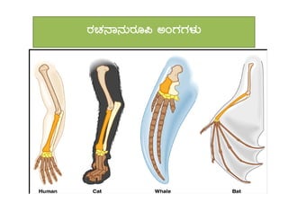gÀZÀ£Á£ÀÄgÀÆ¦ CAUÀUÀ¼ÀÄ
 