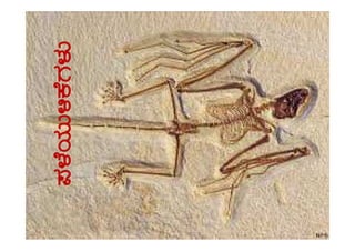 ¥À¼ÉAiÀÄÄ½PÉUÀ¼ÀÄ¥À¼ÉAiÀÄÄ½PÉUÀ¼ÀÄ
 