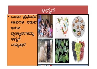 ©ü£ÀßvÉ
•• MAzÀÄ ¥Àæ¨sÉÃzsÀzÀ
fÃ«UÀ¼À £ÀqÀÄªÉ
EgÀÄªÀ
ªÀåvÁå¸ÀUÀ¼À£ÀÄßªÀåvÁå¸ÀUÀ¼À£ÀÄß
©ü£ÀßvÉ
J£ÀÄßvÁÛgÉ.
 