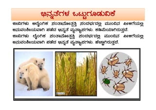 ©ü£ÀßvÉUÀ¼À MlÄÖUÀÆqÀÄ«PÉ
fÃ«UÀ¼ÀÄ CĒÉÊAVPÀ ¸ÀAvÁ£ÉÆÃvÀàwÛ ¸ÀAzÀ¨sÀðzÀ°è ªÀÄÄA¢£À ¦Ã½UÉAiÀÄ°è
C£ÀÄªÀA²ÃAiÀÄªÁV ¥ÀqÉzÀ ©ü£ÀßvÉ ªÀåvÁå¸ÀUÀ¼ÀÄ. PÀrªÉÄAiÀiÁVgÀÄvÀÛzÉ.
fÃ«UÀ¼ÀÄ ĒÉÊAVPÀ ¸ÀAvÁ£ÉÆÃvÀàwÛ ¸ÀAzÀ¨sÀðzÀ°è ªÀÄÄA¢£À ¦Ã½UÉAiÀÄ°è
C£ÀÄªÀA²ÃAiÀÄªÁV ¥ÀqÉzÀ ©ü£ÀßvÉ ªÀåvÁå¸ÀUÀ¼ÀÄ. ºÉZÁÑVgÀÄvÀÛzÉ.
 