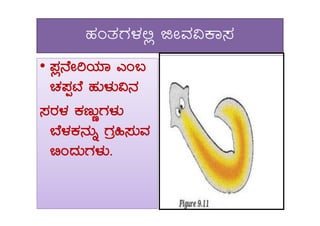 ºÀAvÀUÀ¼À°è fÃªÀ«PÁ¸À
•• ¥Àè£ÉÃjAiÀiÁ JA§
ZÀ¥ÀàmÉ ºÀÄ¼ÀÄ«£À
¸ÀgÀ¼À PÀtÄÚUÀ¼ÀÄ¸ÀgÀ¼À PÀtÄÚUÀ¼ÀÄ
¨É¼ÀPÀ£ÀÄß UÀæ»¸ÀÄªÀ
©AzÀÄUÀ¼ÀÄ.
 