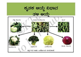 PÀÈvÀPÀ DAiÉÄÌ «zsÁ£À
vÀ½ DAiÉÄÌ
 