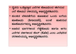 •• gÉÊvÀgÀÄ MvÉÆÛvÁÛzÀ JĒÉUÀ¼À PÉÆÃ¹¤AzÀ FVgÀÄªÀ
JĒÉ PÉÆÃ¹£À vÀ½AiÀÄ£ÀÄß C©üªÀÈ¢Þ¥Àr¹zÀgÀÄ.
• PÀÄApvÀ ¨É¼ÀªÀtÂUÉAiÀÄ ºÀÆ©qÀÄªÀ MAzÀÄ §UÉAiÀÄ
ºÀÆPÉÆÃ¸ÀÄ (broccoli), §AeÉ ºÀÆ«gÀÄªÀ
ºÀÆPÉÆÃ¸ÀÄUÀ¼À£ÀÄß C©üªÀÈ¢Þ¥Àr¹zÀgÀÄ.
•• H¢zÀ ¨sÁUÀUÀ½AzÀ UÉqÉØPÉÆÃ¸ÀÄ ºÁUÀÆ CUÀ®
JĒÉUÀ¼À vÀ½UÀ½AzÀ PÉÃĒï (Kale) JA§ JĒÉ¨sÀjvÀ
vÀgÀPÁjAiÀÄ£ÀÄß C©üªÀÈ¢Þ¥Àr¹zÀgÀÄ.
 