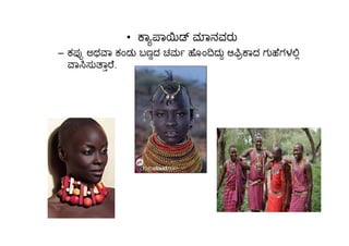 • ಾ ಾ ಾನವರು
– ಕಪ ಅಥ ಾ ಕಂಡು ಬಣದ ಚಮ ೊಂ ದು ಆ ಾದ ಗು ೆಗಳ
ಾ ಸು ಾ ೆ.
 