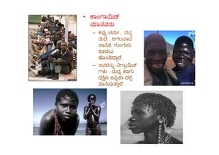 • ಾಂ ಾ
ಾನವರು
– ಕಪ ಚಮ , ದಪ
ತು , ಅಗಲ ಾದ
ಾ ಕ, ಗುಂಗುರು
ಕೂದಲು
ೊಂ ಾ ೆ.
– ಇವರನು ಾ
ಗಳ , ಮಧ ಾಗು
ದ ಣ ಆ ಾ ದದ ಣ ಆ ಾ ದ
ಾ ಸು ಾ ೆ
 