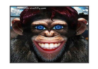 12 evolution new Kannada Medium