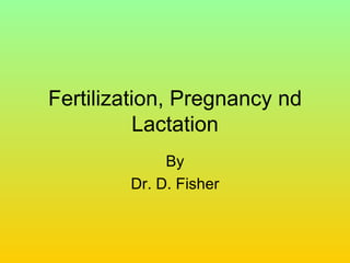 Fertilization, Pregnancy nd Lactation By Dr. D. Fisher 