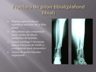 Inmovilización con férula o yeso.