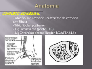 Fractura femuripsilateral(rodilla flotante)