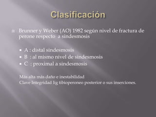 Fractura segmentaria, conminuta