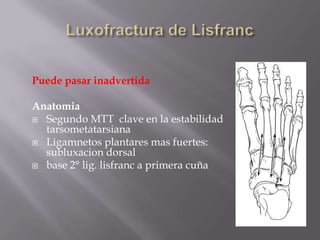 EvaluaciónClinicaHistoriaExamen físicoRXAPLateralMortaja