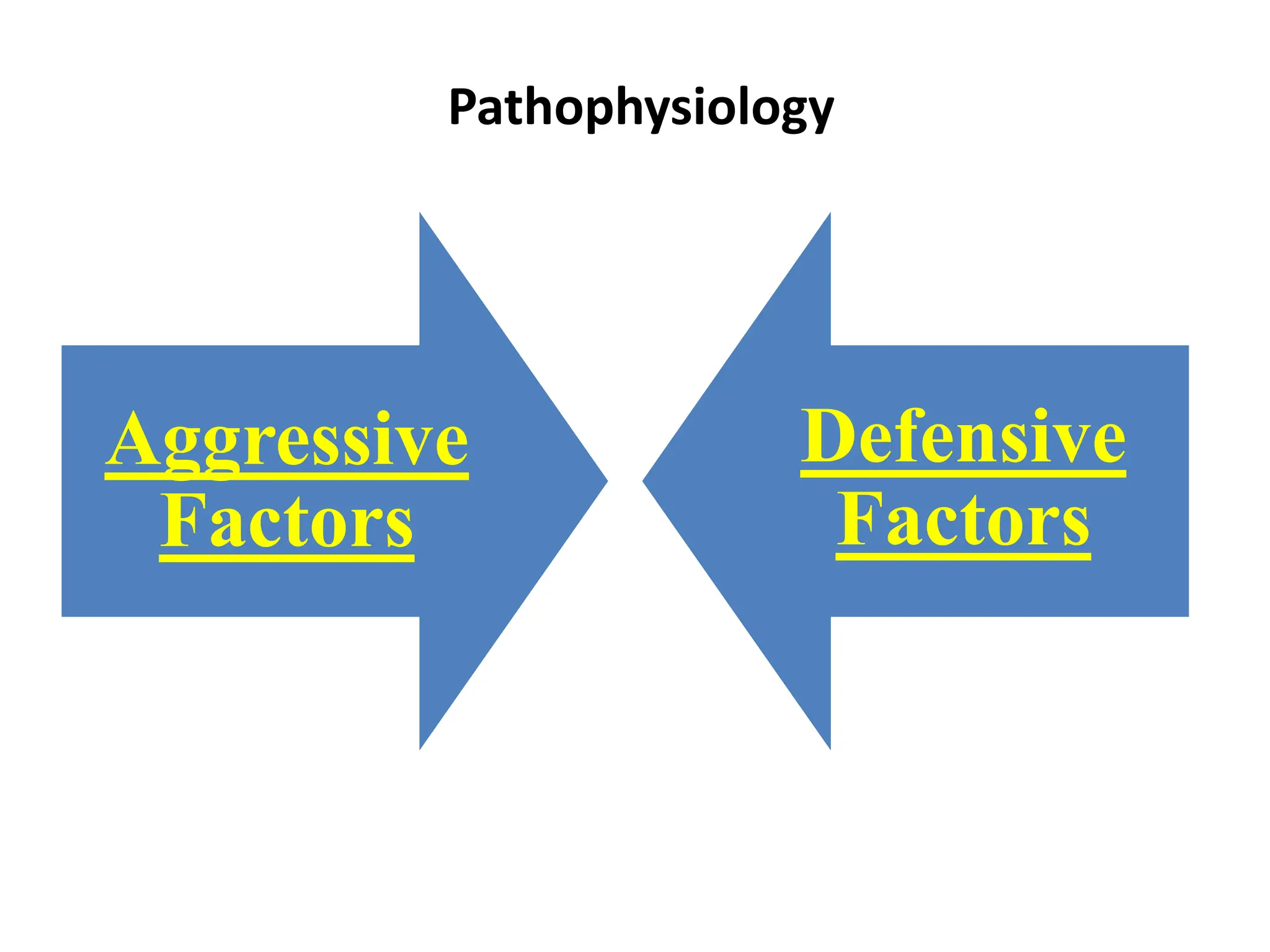 Pathophysiology
Aggressive
Factors
Defensive
Factors
 