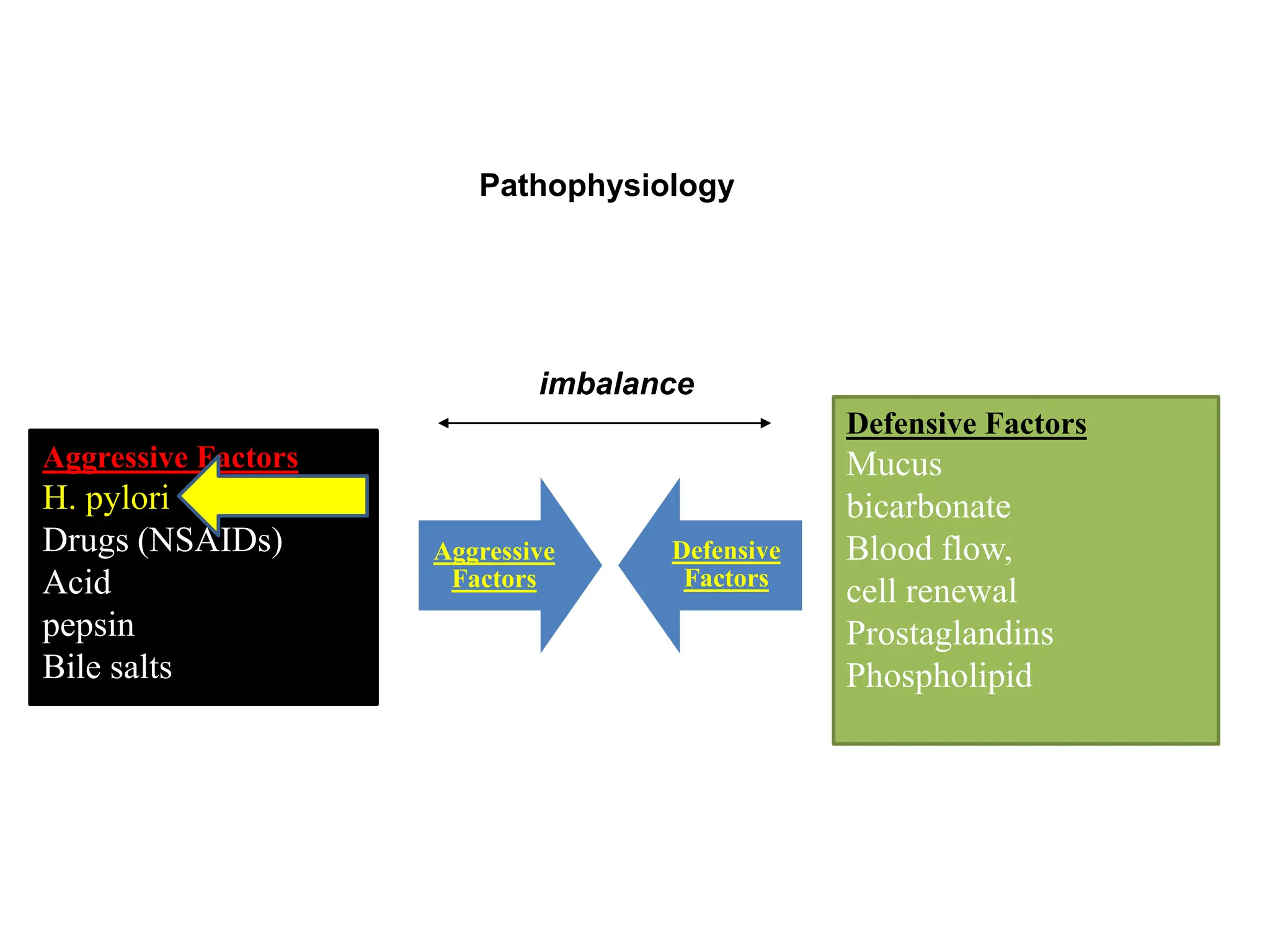 Aggressive Factors
H. pylori
Drugs (NSAIDs)
Acid
pepsin
Bile salts
Defensive Factors
Mucus
bicarbonate
Blood flow,
cell renewal
Prostaglandins
Phospholipid
Pathophysiology
imbalance
Aggressive
Factors
Defensive
Factors
 