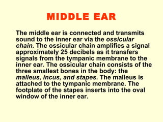 MIDDLE EAR The middle ear is connected and transmits sound to the inner ear via the  ossicular chain . The ossicular chain amplifies a signal approximately 25 decibels as it transfers signals from the tympanic membrane to the inner ear. The ossicular chain consists of the three smallest bones in the body: the  malleus, incus, and stapes . The malleus is attached to the tympanic membrane. The footplate of the stapes inserts into the oval window of the inner ear.  