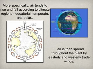 More specifically, air tends to rise and fall according to climate regions - equatorial, temperate, and polar.. ...air is then spread throughout the plant by easterly and westerly trade winds. 