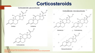 12 - hormones.pptx