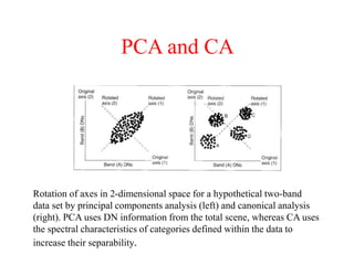 PCA and CA
Rotation of axes in 2-dimensional space for a hypothetical two-band
data set by principal components analysis (left) and canonical analysis
(right). PCA uses DN information from the total scene, whereas CA uses
the spectral characteristics of categories defined within the data to
increase their separability.
 