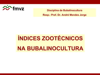 fmvzfmvz
ÍNDICES ZOOTÉCNICOS
NA BUBALINOCULTURA
Disciplina de Bubalinocultura
Resp.: Prof. Dr. André Mendes Jorge
 