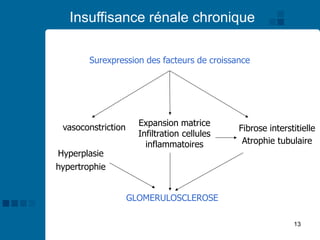 13
Insuffisance rénale chronique
Surexpression des facteurs de croissance
vasoconstriction Expansion matrice
Infiltration cellules
inflammatoires
Hyperplasie
hypertrophie
GLOMERULOSCLEROSE
Fibrose interstitielle
Atrophie tubulaire
 