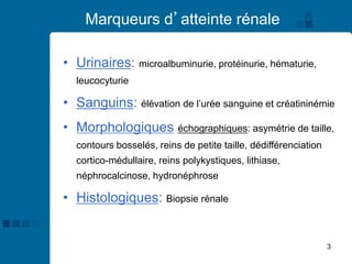 3
Marqueurs d’atteinte rénale
• Urinaires: microalbuminurie, protéinurie, hématurie,
leucocyturie
• Sanguins: élévation de l’urée sanguine et créatininémie
• Morphologiques échographiques: asymétrie de taille,
contours bosselés, reins de petite taille, dédifférenciation
cortico-médullaire, reins polykystiques, lithiase,
néphrocalcinose, hydronéphrose…
• Histologiques: Biopsie rénale
 