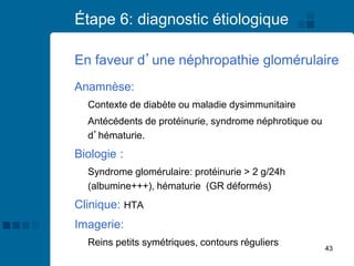 43
Étape 6: diagnostic étiologique
Anamnèse:
Contexte de diabète ou maladie dysimmunitaire
Antécédents de protéinurie, syndrome néphrotique ou
d’hématurie.
Biologie :
Syndrome glomérulaire: protéinurie > 2 g/24h
(albumine+++), hématurie (GR déformés)
Clinique: HTA
Imagerie:
Reins petits symétriques, contours réguliers
En faveur d’une néphropathie glomérulaire
 