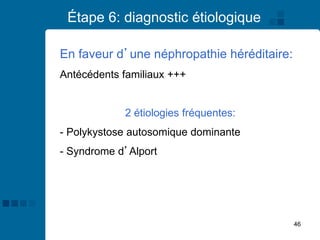 46
Étape 6: diagnostic étiologique
En faveur d’une néphropathie héréditaire:
Antécédents familiaux +++
2 étiologies fréquentes:
- Polykystose autosomique dominante
- Syndrome d’Alport
 
