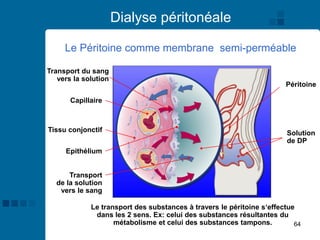 64
Dialyse péritonéale
Péritoine
Solution
de DP
Transport
de la solution
vers le sang
Epithélium
Tissu conjonctif
Capillaire
Transport du sang
vers la solution
Le transport des substances à travers le péritoine s‘effectue
dans les 2 sens. Ex: celui des substances résultantes du
métabolisme et celui des substances tampons.
Le Péritoine comme membrane semi-perméable
 