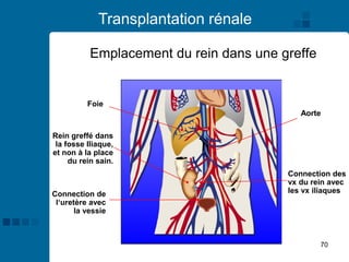 70
Transplantation rénale
Emplacement du rein dans une greffe
Aorte
Connection des
vx du rein avec
les vx iliaques
Foie
Rein greffé dans
la fosse Iliaque,
et non à la place
du rein sain.
Connection de
l‘uretère avec
la vessie
 