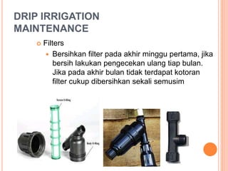 DRIP IRRIGATION 
MAINTENANCE 
 Filters 
 Bersihkan filter pada akhir minggu pertama, jika 
bersih lakukan pengecekan ulang tiap bulan. 
Jika pada akhir bulan tidak terdapat kotoran 
filter cukup dibersihkan sekali semusim 
 