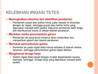 KELEBIHAN IRIGASI TETES 
 Meningkatkan efisiensi dan efektifitas pemberian 
 Pemberian pupuk atau bahan kimia pada metode ini dicampur 
dengan air irigasi, sehingga pupuk atau bahan kimia yang 
digunakan menjadi lebih sedikit, frekuensi pemberian lebih tinggi 
dan distribusinya hanya di sekitar daerah perakaran. 
 Menekan resiko penumpukan garam 
 Pemberian air yang terus menerus akan melarutkan dan 
menjauhkan garam dari daerah perakaran. 
 Menekan pertumbuhan gulma 
 Pemerian air pada irigasi tetes hanya terbatas di daerah sekitar 
tanaman, sehingga pertumbuhan gulma dapat ditekan. 
 Menghemat tenaga kerja 
 Sistem irigasi tetes dapat dengan mudah dioperasikan secara 
otomatis, sehingga tenaga kerja yang diperlukan menjadi lebih 
sedikit. 
 