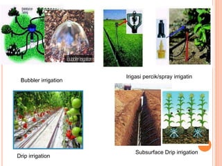 Bubbler irrigation 
Irigasi percik/spray irrigatin 
Drip irrigation 
Subsurface Drip irrigation 
 