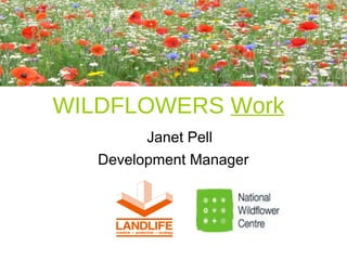 WILDFLOWERS Work
Janet Pell
Development Manager
 