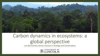Carbon dynamics in ecosystems: a
global perspective
Lan Qie (Lainie), Senior Lecturer in Ecology and Conservation
 