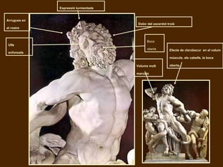 Dolor del sacerdot troià Boca oberta Arrugues en el rostre Ulls enfonsats Volums molt marcats Efecte de clarobscur  en el volum músculs, els cabells, la boca oberta... Expressió turmentada 